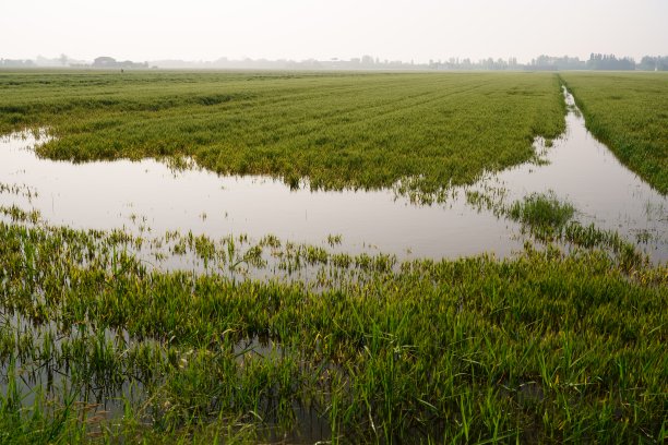 2023年5月艾米利亚罗马涅洪水图片下载