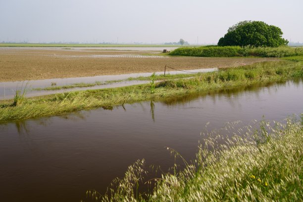 2023年5月艾米利亚罗马涅洪水图片下载