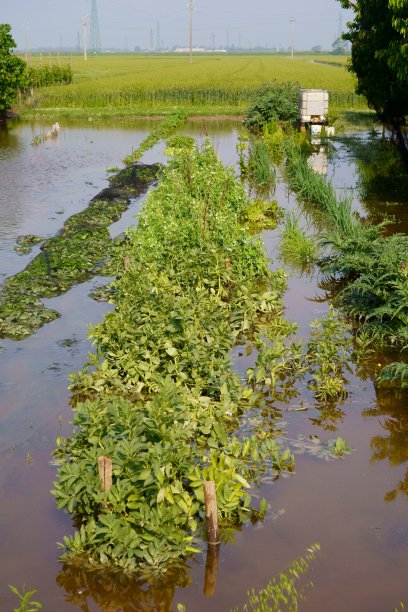 2023年5月艾米利亚罗马涅洪水图片下载