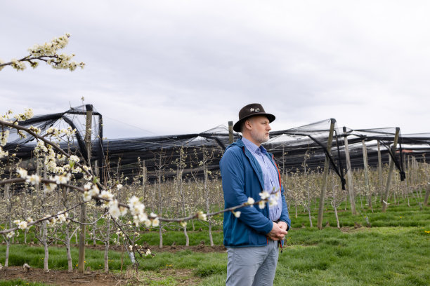 施蒂里亚的一个苹果种植园的主人绕过了他的财产。穿蓝色西装戴蓝色帽子的中年男子图片下载