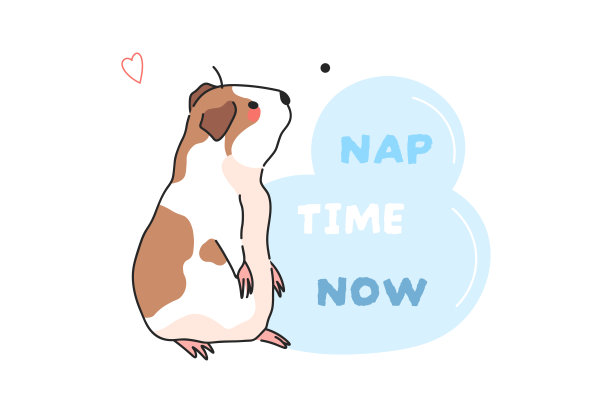 可爱的豚鼠矢量隔离图案t恤印刷，背景，装饰艺术。可爱的卡通动物插图与文字。豚鼠和短信-午睡时间现在。图片下载