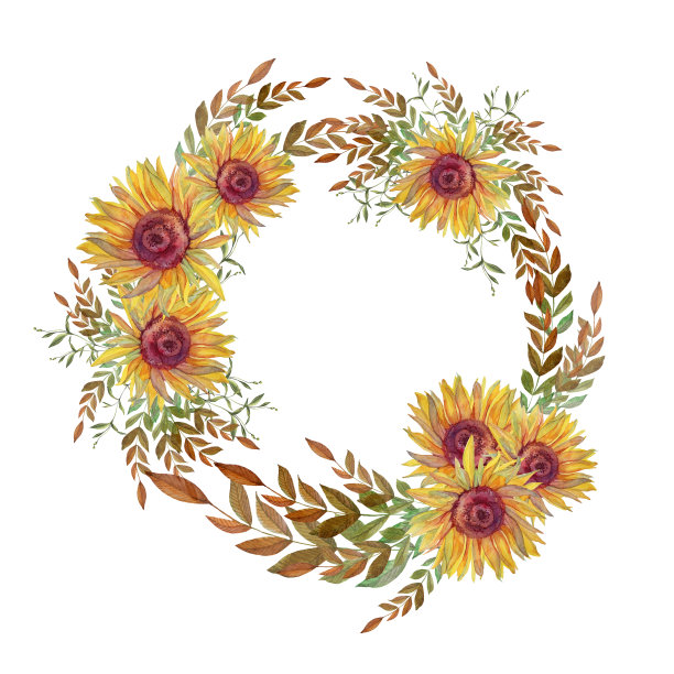 秋圆架。水彩花环花向日葵和树枝与树叶孤立在白色的背景。手绘剪贴画卡片。边界和婚礼庆典邀请或壁纸图片下载
