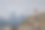 海鸥在山顶岩石上等待的背景照片图片下载
