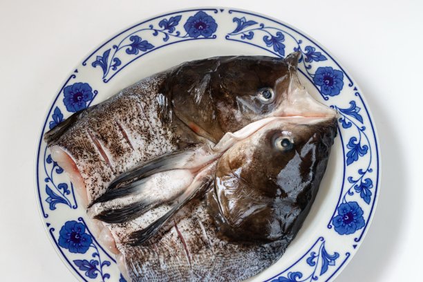 新鲜的鱼。鱼头特写图片下载