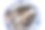 新鲜的鱼。鱼头特写图片下载