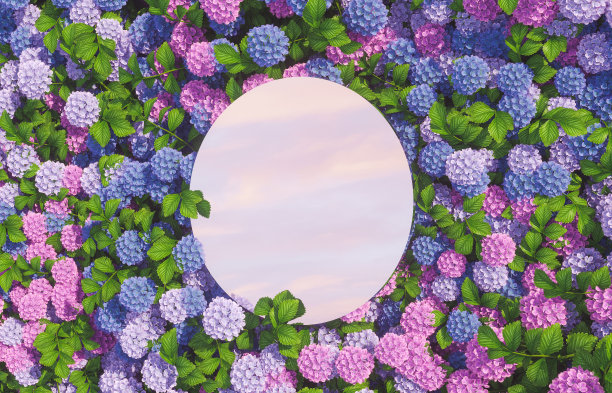 春天绣球花场上镜子里的天空倒影。图片下载