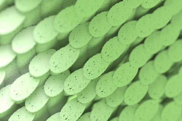 绿色有机物品(放松和平静)图片下载