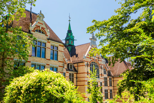 苏黎世。瑞士。图片下载