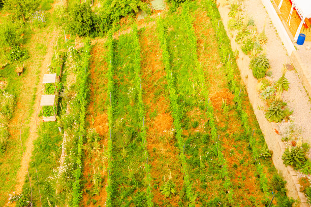 伯尔尼镇大街。瑞士。城市景观图片下载