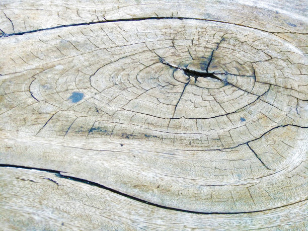 老木材上抽象的图案和光线，破碎的裂缝和纹理老棕色木材，切割树桩的图案图片下载