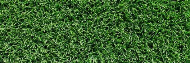 绿油油的草坪，草甸碧绿的草皮。俯视图3d渲染图片下载