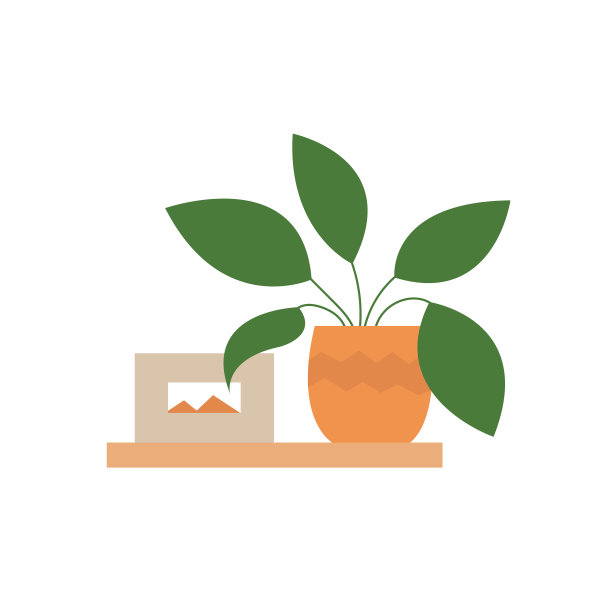 架子上有植物和装饰图片下载