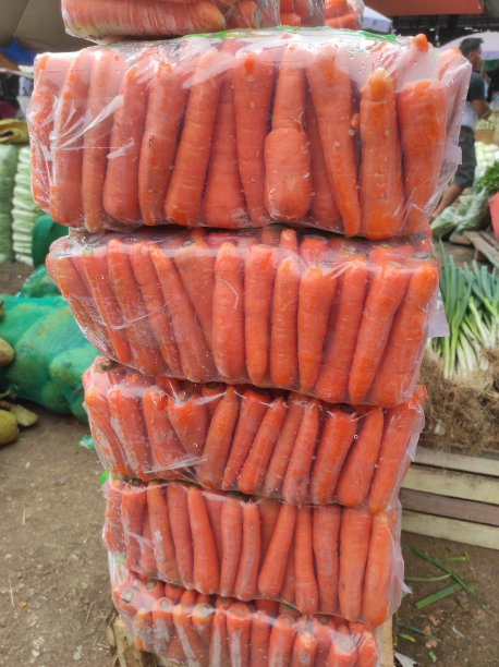 胡萝卜图片下载