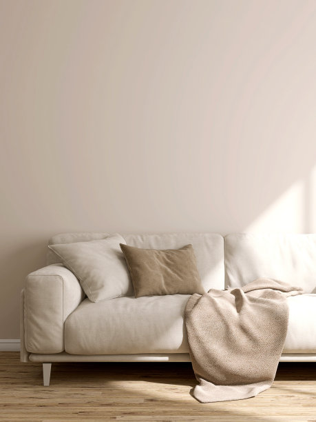 奶油色舒适的麂皮沙发，棕色靠垫枕头，白色墙壁上的阳光毯子，拼花地板图片下载