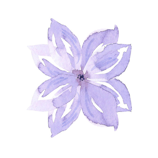 紫色抽象樱花。手绘水彩孤立在白色的背景。可用于卡片、图案、标签。图片下载