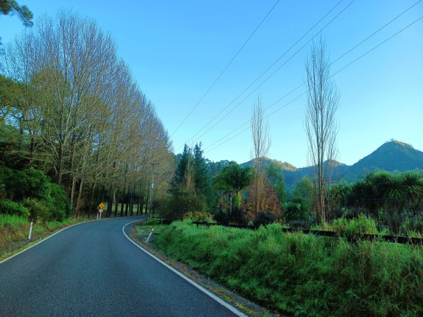 怀特安加和科罗曼德尔图片下载