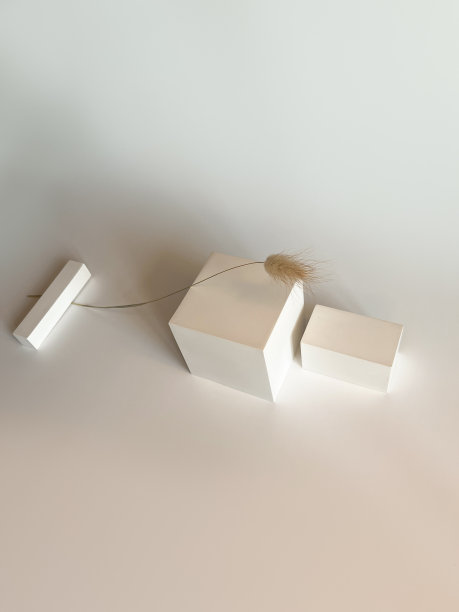 白色背景上的白色讲台。皮肤或头发护理产品的模型。工作室的照片图片下载