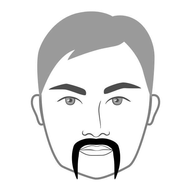 马蹄形胡须型男脸插图面部毛发。矢量灰色黑色肖像男性时尚模板平面理发师集合集。时尚的发型孤立的轮廓在白色的背景。图片下载