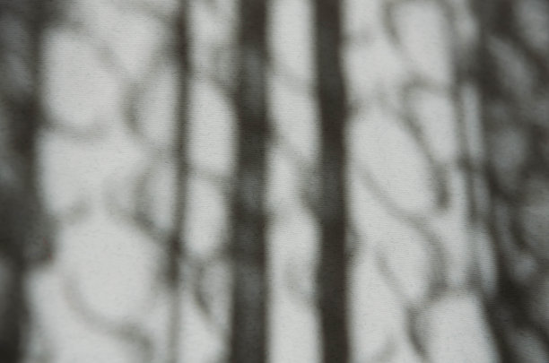 窗帘在墙上的影子图片下载