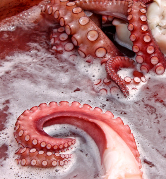 用大铜锅煮章鱼。图片下载