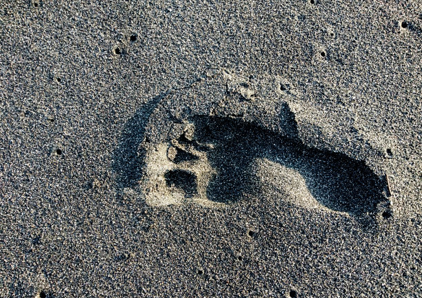 脚一步图片下载