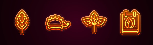 用秋天的叶子来设置叶子、刺猬和日历。发光的霓虹灯图标。向量图片下载