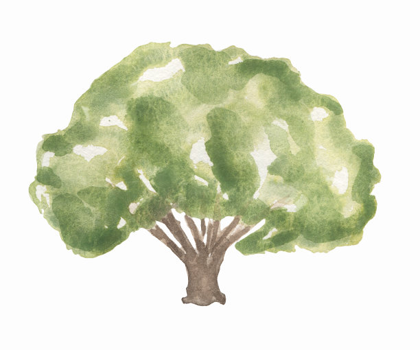 水彩树插图，花园树剪贴画图片下载