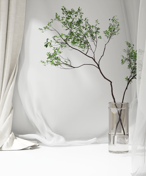 空的白色柜台，柔软光滑的薄纱，米色布料帷幔，树枝玻璃花瓶在阳光下图片下载
