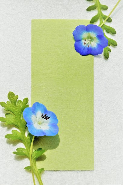 绿色标题框架的实物模型，在白色背景的蓬松织物上装饰着蓝色的花和叶子，肖像图片下载