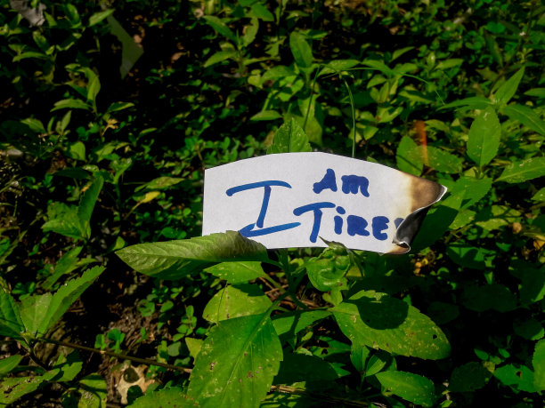 “我累了”这几个字在绿草地上的白纸上燃烧着图片下载