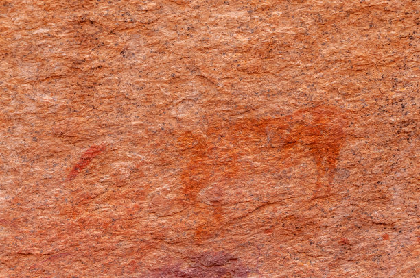 桑人的岩石艺术图片下载