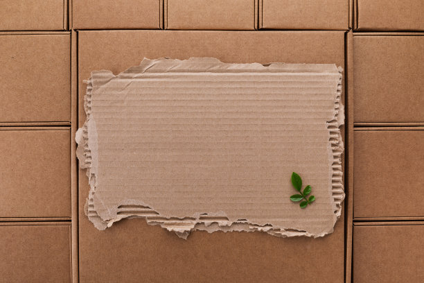 生态，零浪费和无塑料的概念与卡通纸空白与绿叶纸箱背景顶视图。图片下载