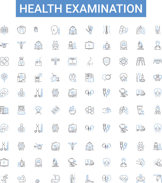 健康检查大纲图标集图片下载