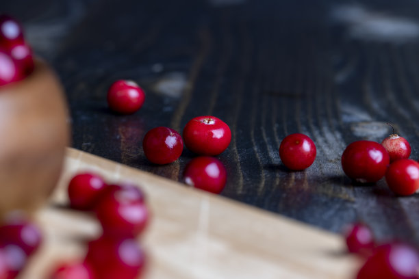 在沼泽中收获的红熟蔓越莓图片下载