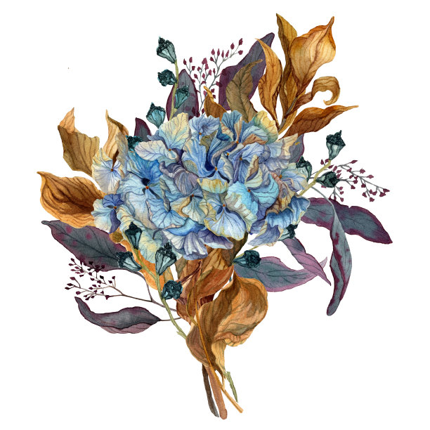 手绘水彩插图干花束与绣球花，桉树和麝香隔离在白色的背景。设计邀请，纪念活动装饰，秋季印刷品。图片下载