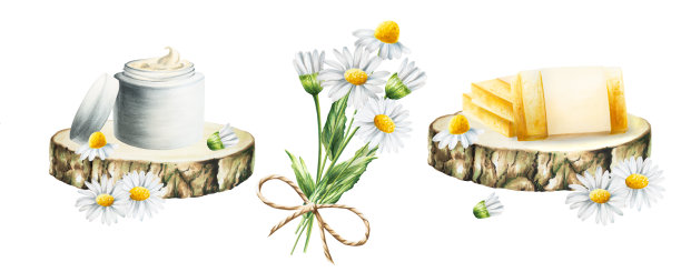 水彩天然手工肥皂和奶油与洋甘菊木制锯切割孤立在白色背景。一束雏菊。美容产品及植物元素、美容及医药。适合设计师，水疗装饰，明信片，包装纸，废料图片下载