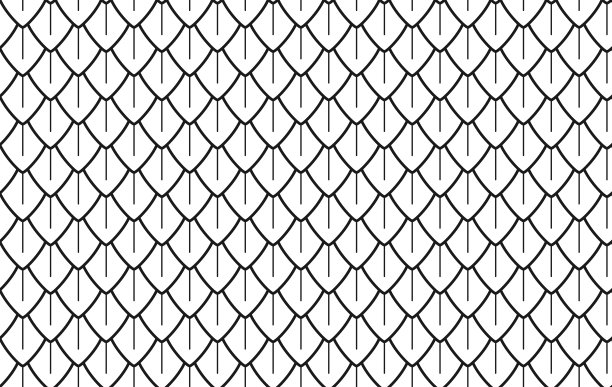 龙鳞无缝花纹。蛇和爬行动物鳞片。鱼，美人鱼鳞背景。简单抽象的恐龙或龙皮无缝图案。矢量黑色线条插图在白色背景图片下载