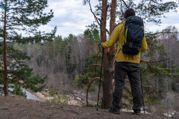 初春林中的徒步旅行者图片下载
