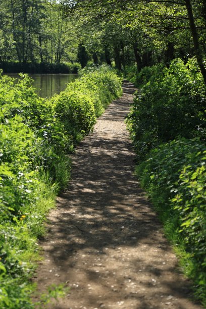 英国萨里的韦河小径图片下载
