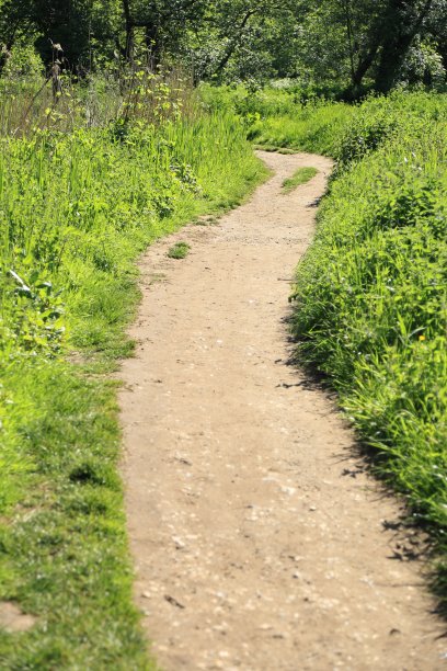 英国萨里的韦河小径图片下载