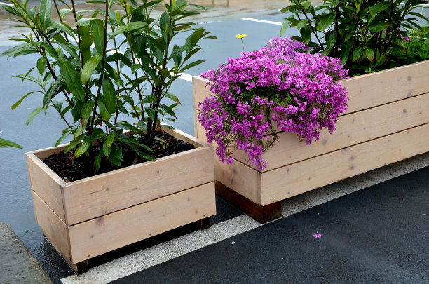 一排排用天然云杉板做成的花盆。在公司前面的停车场，在百货公司旁边的露台上有一个顾客停车场。岩石植物和灌木图片下载