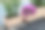 一排排用天然云杉板做成的花盆。在公司前面的停车场，在百货公司旁边的露台上有一个顾客停车场。岩石植物和灌木图片下载