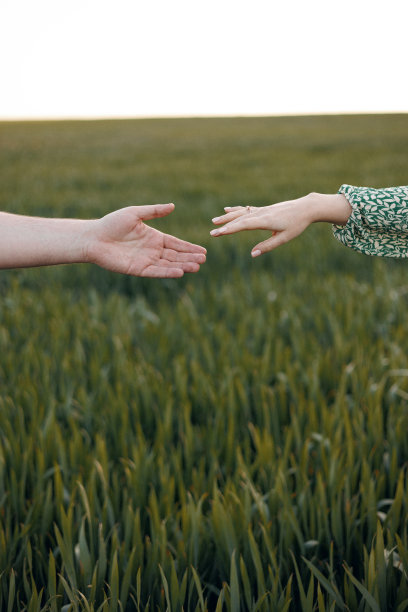 在夏天或春天，年轻的男人和女人在户外的绿色田野背景上手牵手。特写，垂直图片。一对夫妇，一个女孩和一个男孩，新娘和新郎图片下载
