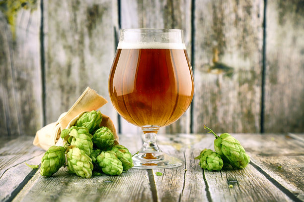 一杯精酿啤酒和新鲜的啤酒花锥在木制背景。图片下载