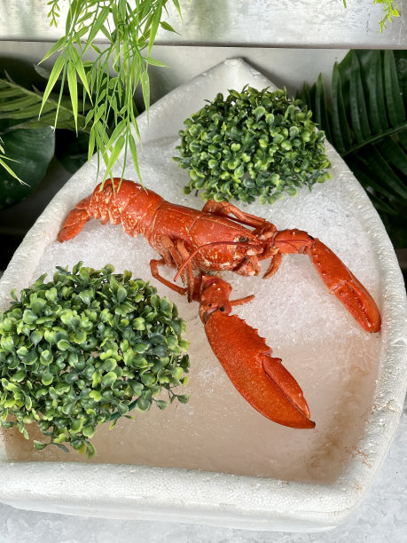 冰上的带刺龙虾图片下载