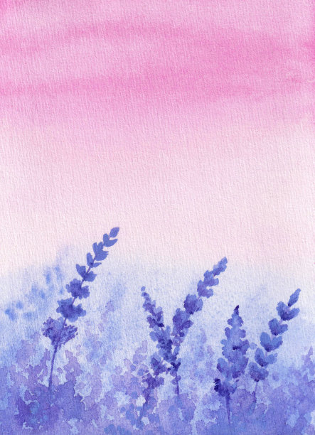 以黎明天空为背景的薰衣草田水彩画图片下载