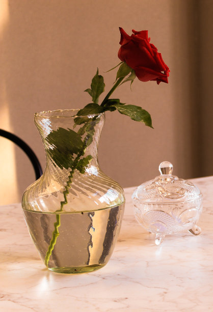 玫瑰和花瓶图片下载