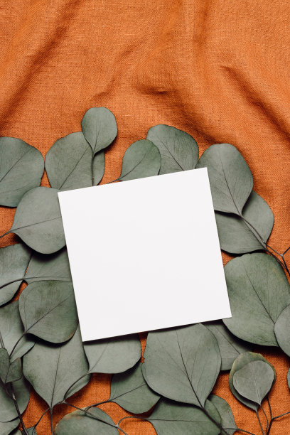 美学纸模拟卡在桉树叶子上亚麻棕色布图片下载