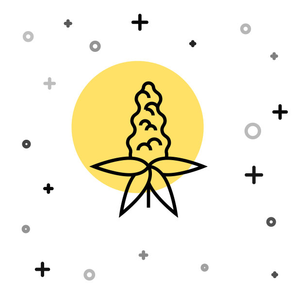 黑线羽扇豆花图标隔离在白色背景。随机动态形状。向量图片下载