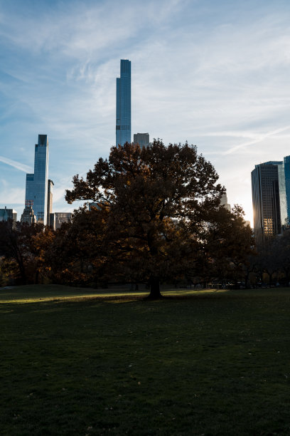 从中央公园俯瞰纽约。在纽约中心的公园里散步。图片下载
